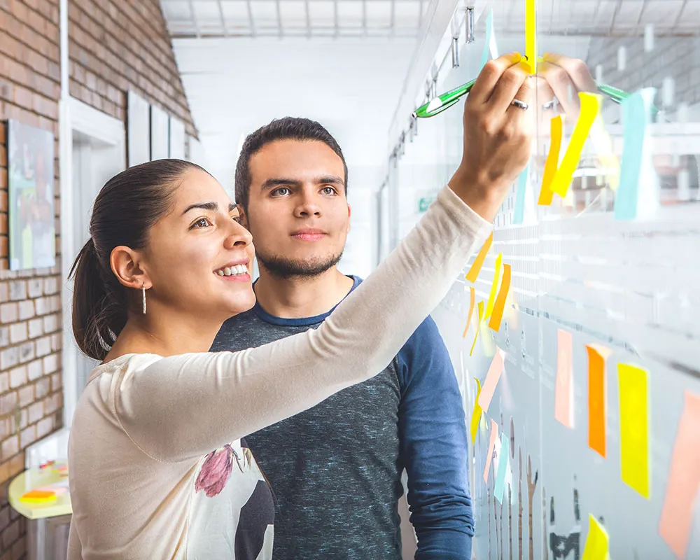 Importancia de los principios