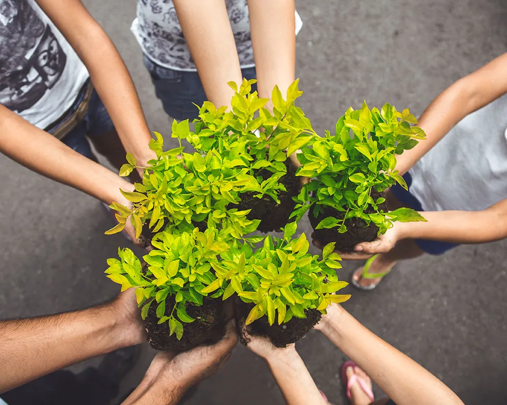 Importancia de los principios