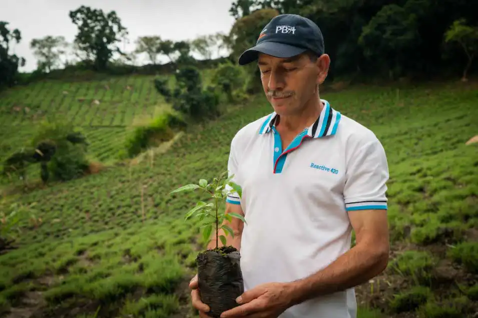 emprende pais rural, tutorias campesinos