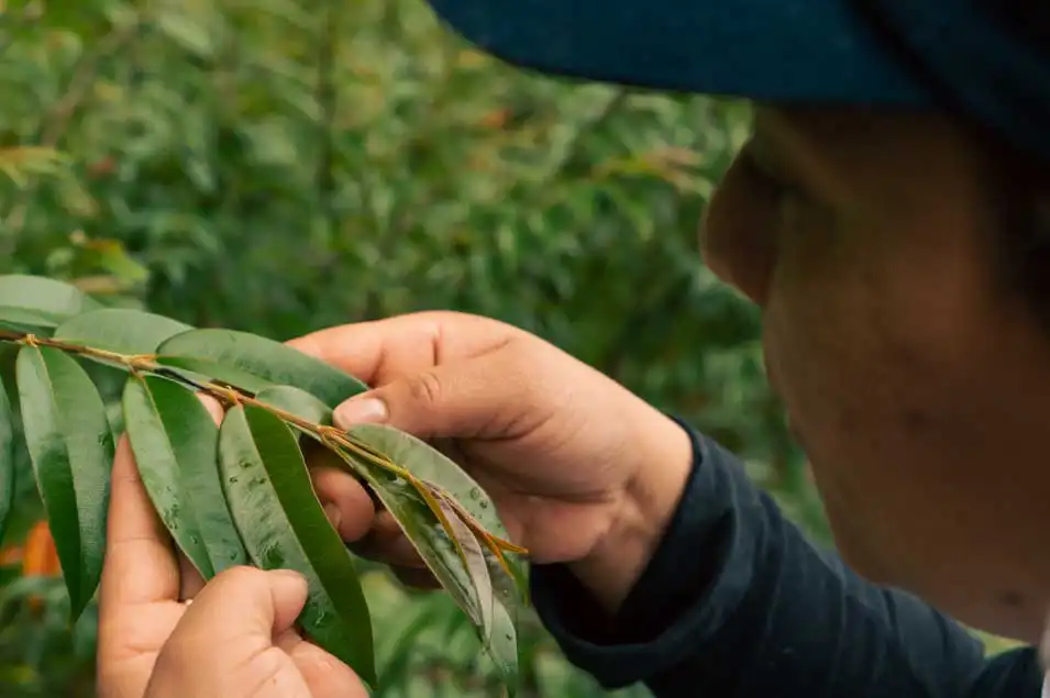 emprende pais rural, personal campesinos