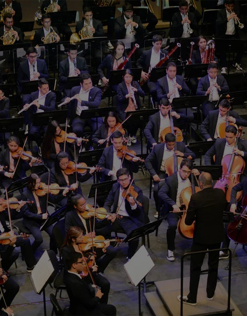 programa filarmónica joven